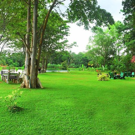 Canal Side Safari Resort Udawalawe Luaran gambar