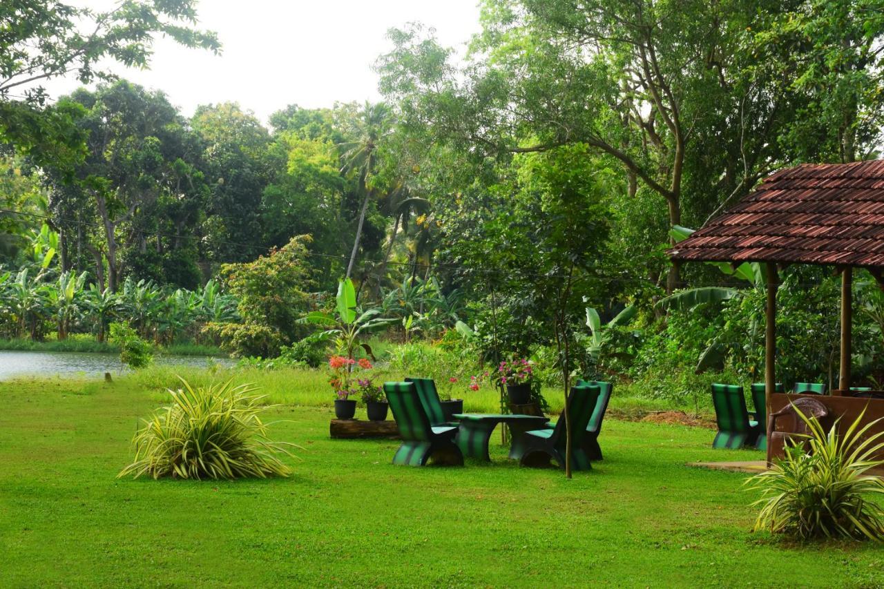 Canal Side Safari Resort Udawalawe Luaran gambar