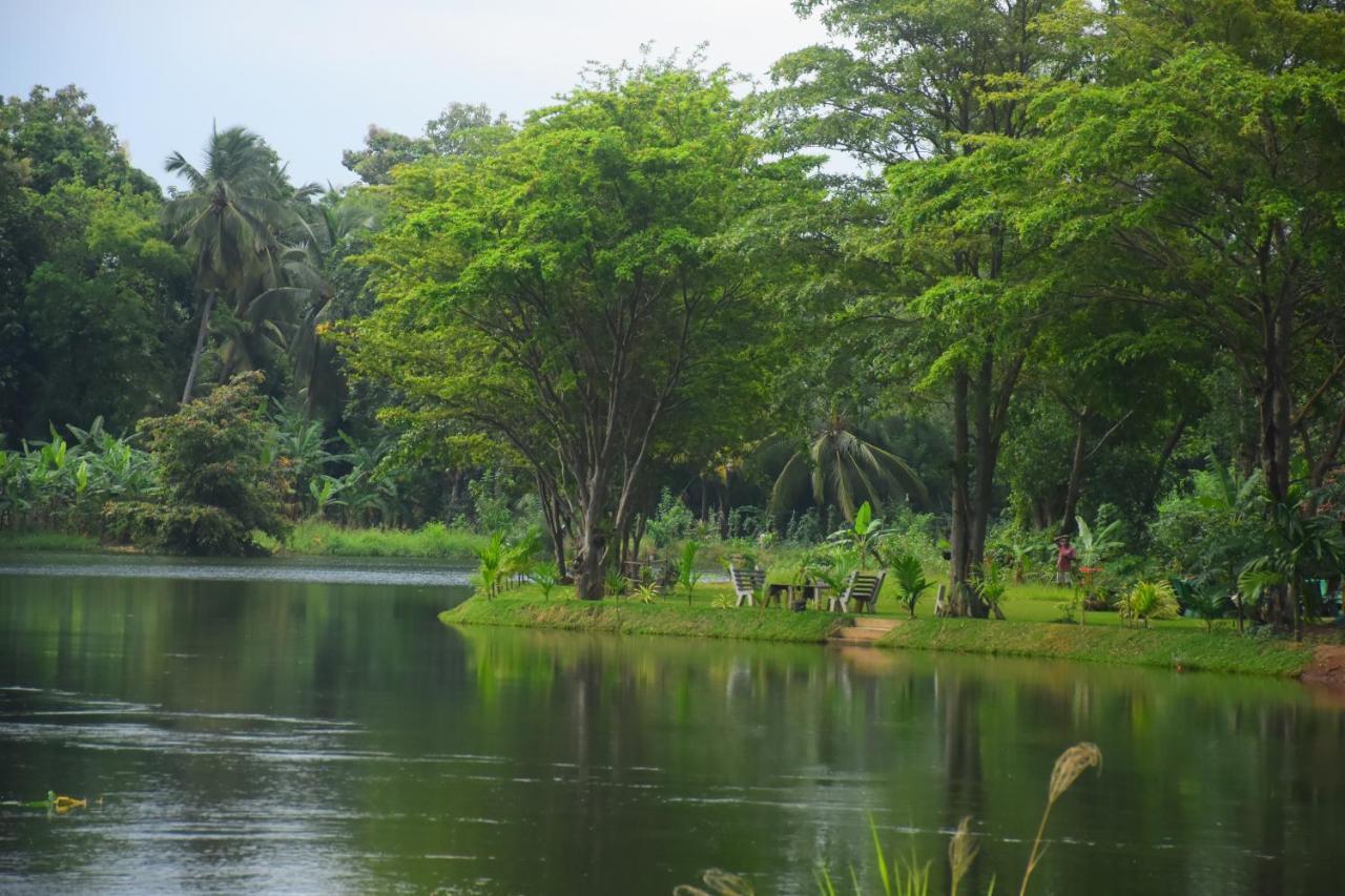 Canal Side Safari Resort Udawalawe Luaran gambar