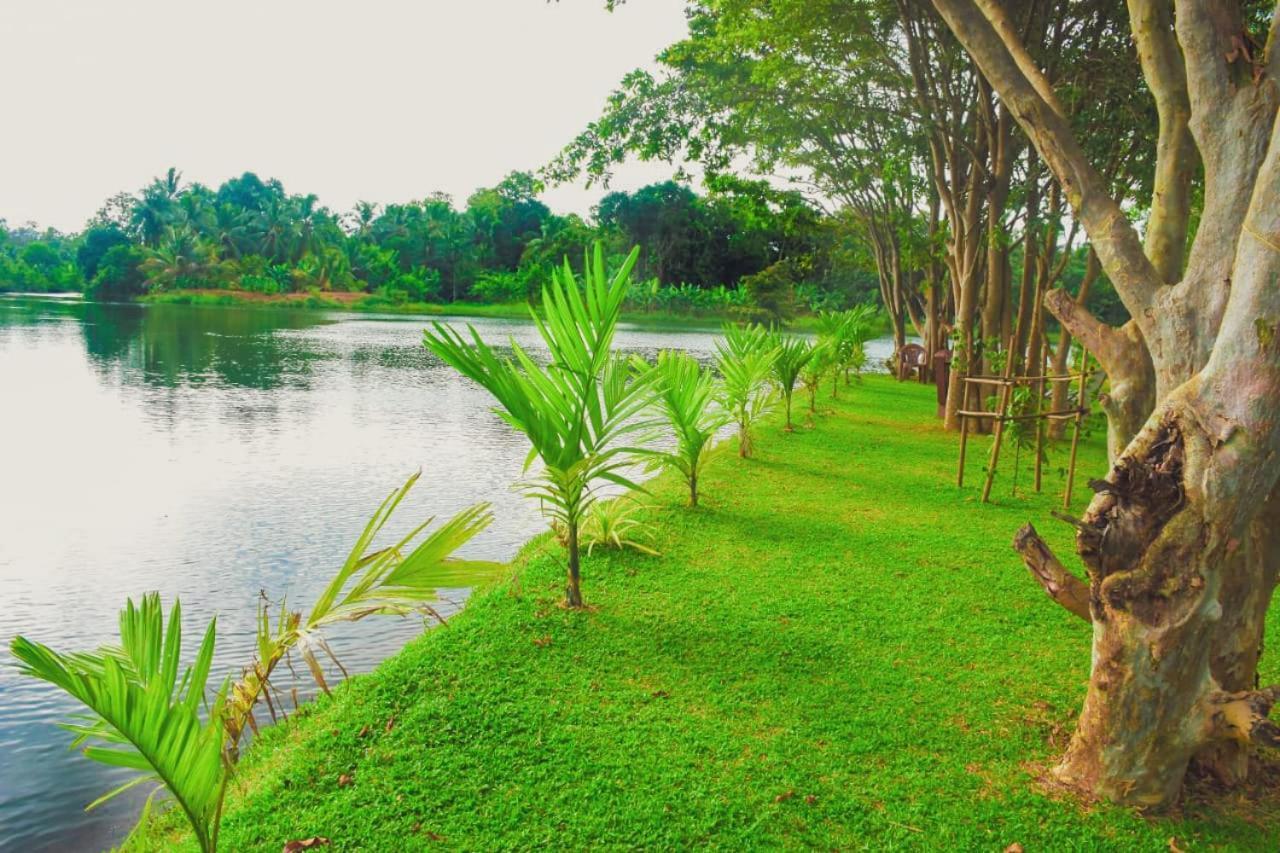 Canal Side Safari Resort Udawalawe Luaran gambar