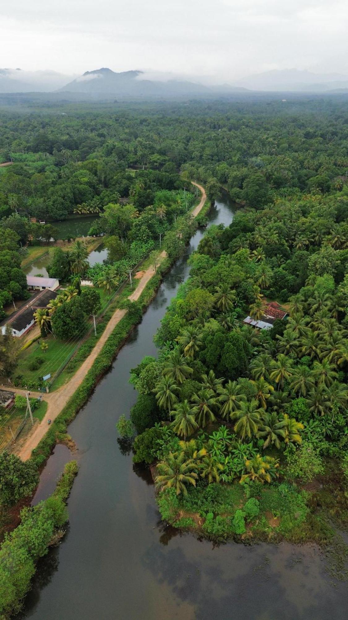 Canal Side Safari Resort Udawalawe Luaran gambar
