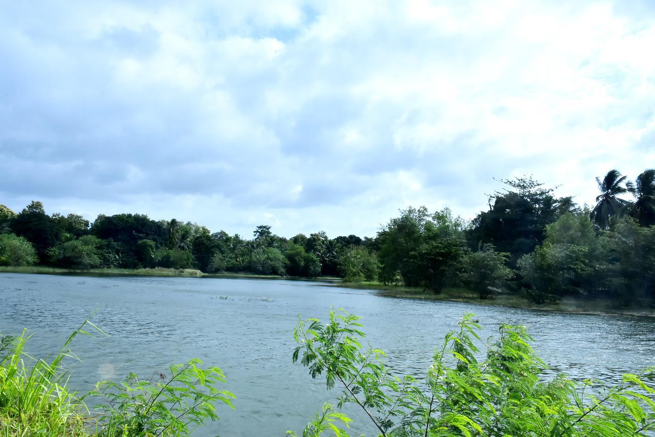 Canal Side Safari Resort Udawalawe Luaran gambar