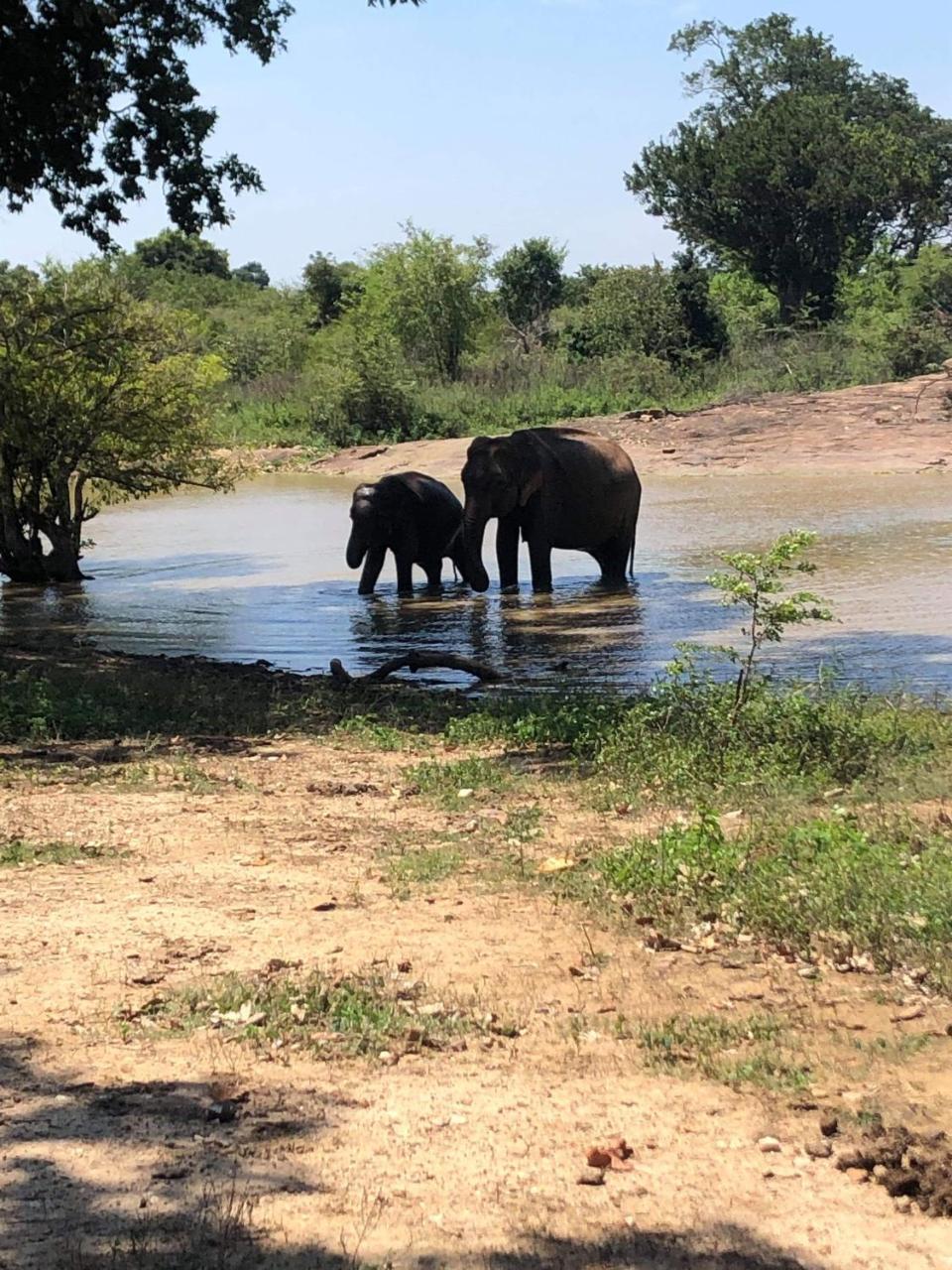 Canal Side Safari Resort Udawalawe Luaran gambar
